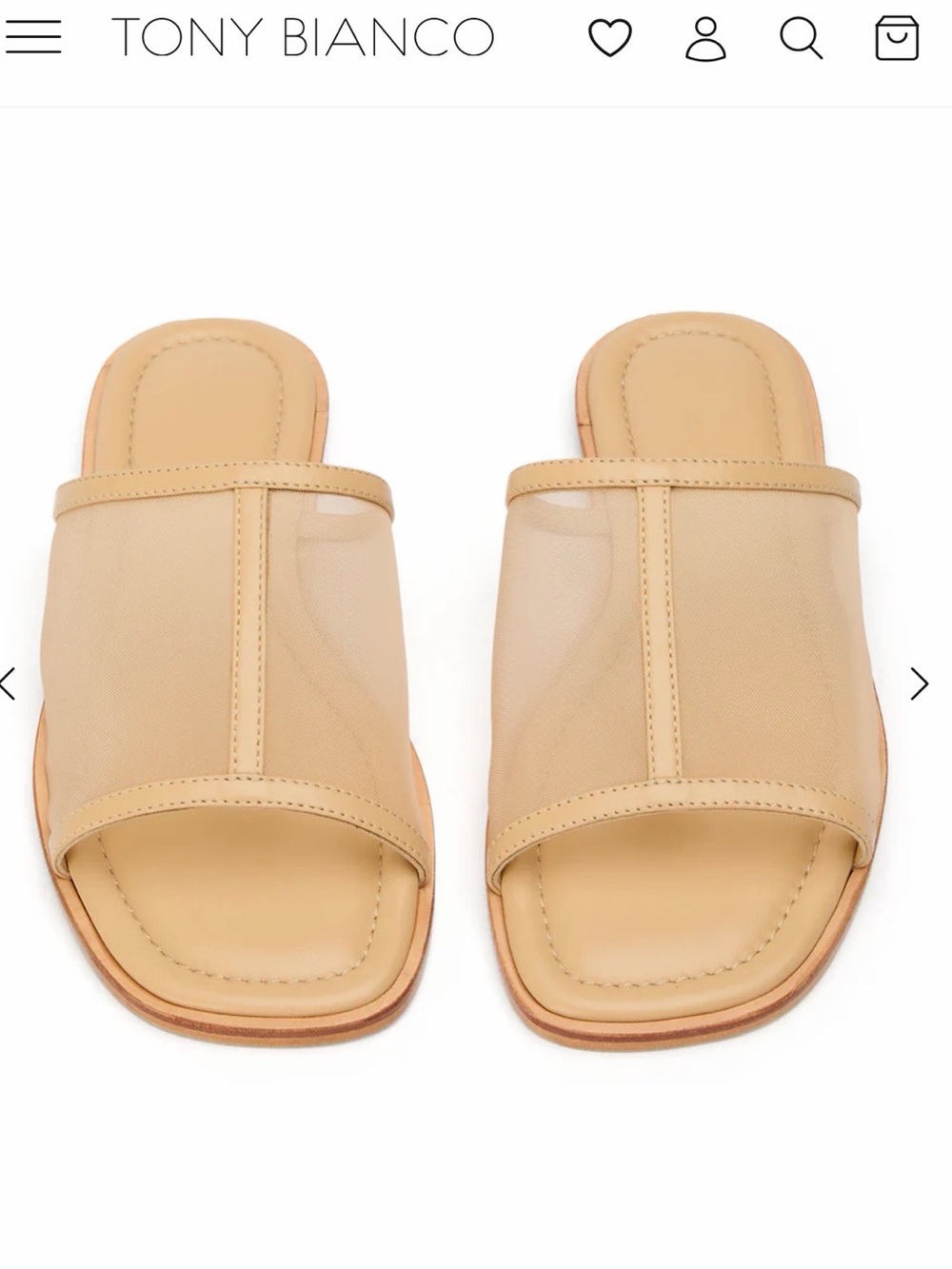 Tony Bianco Milly Slide Sandal in Wheat
